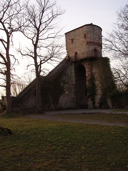 Burg Hohennagold