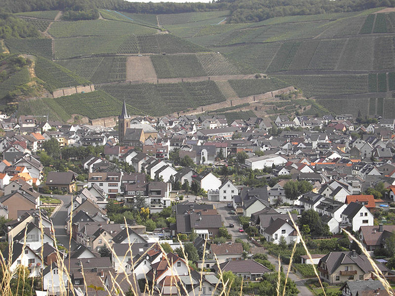 Vignoble de l'Ahr