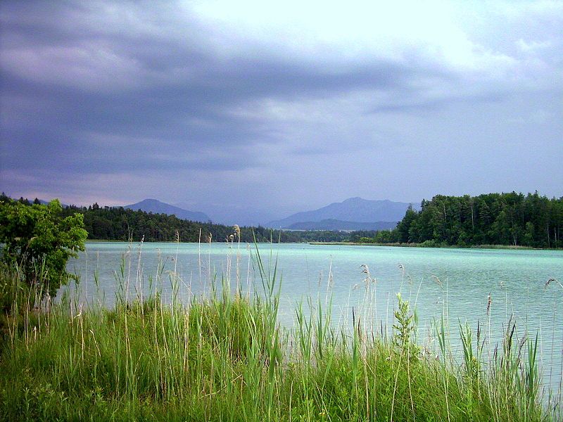 Lago Oster