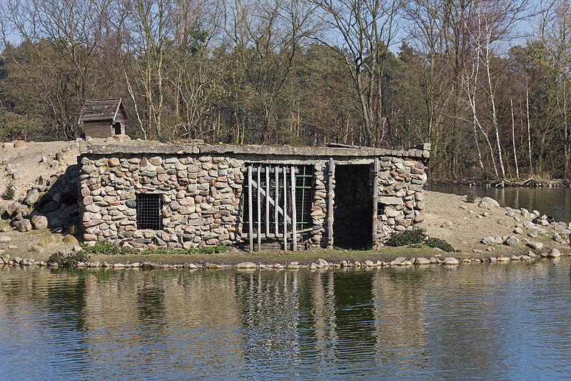 Wildpark Johannismühle