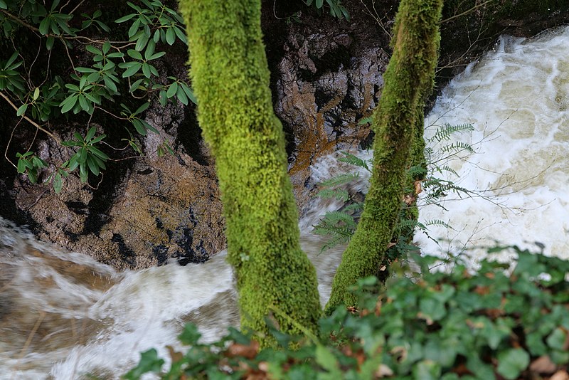 Geroldsauer Wasserfall, Baden-Baden