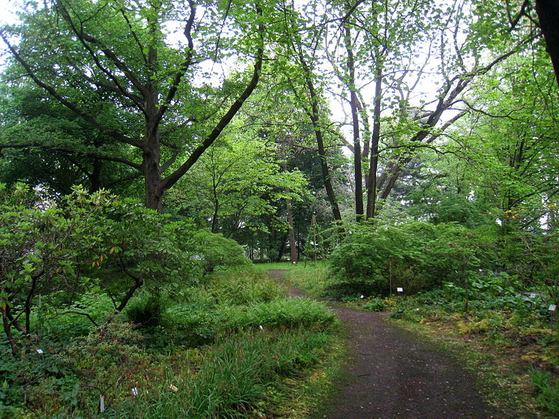 Späth-Arboretum