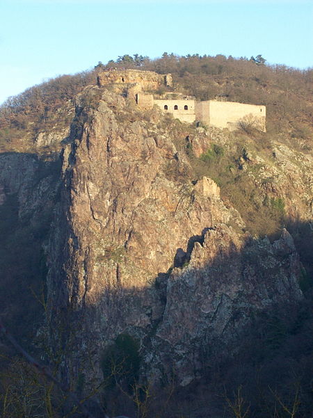 Burg Rheingrafenstein