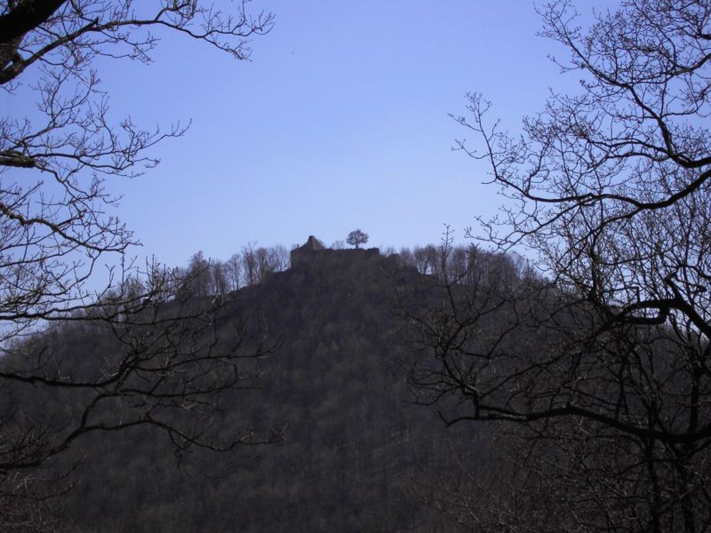 Ruine Löwenburg