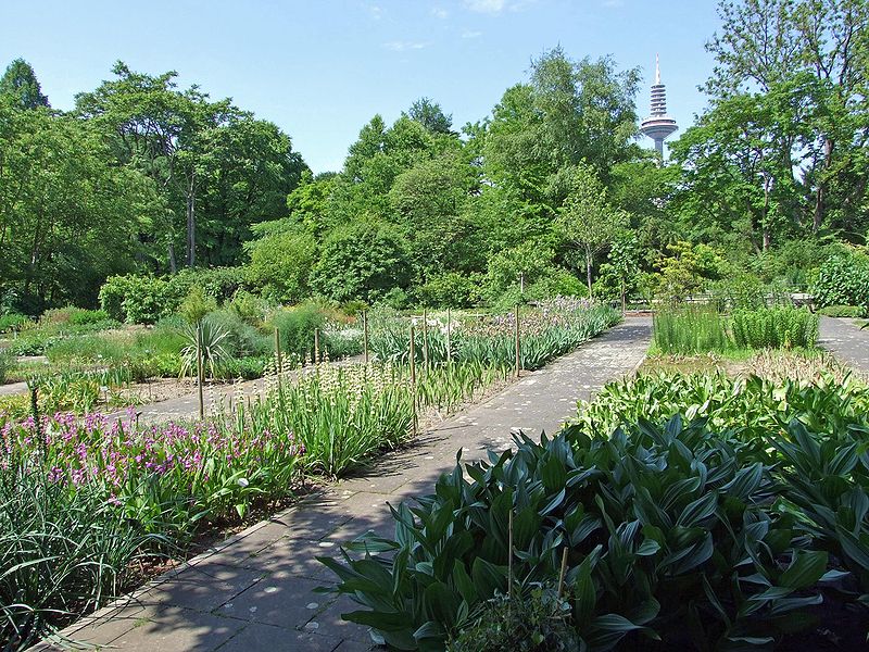 Jardin botanique de l'Université Goethe de Francfort-sur-le-Main