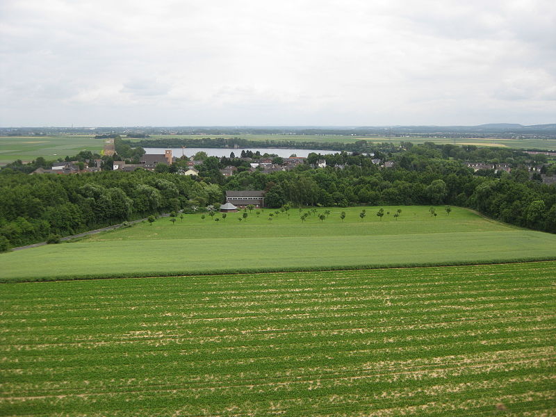 Goltsteinkuppe