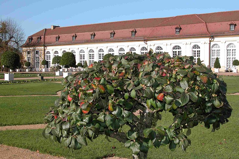 Residenz Ansbach