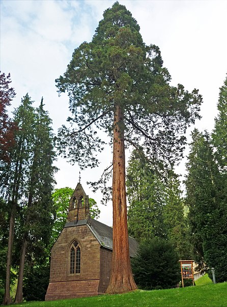 Englische Kirche