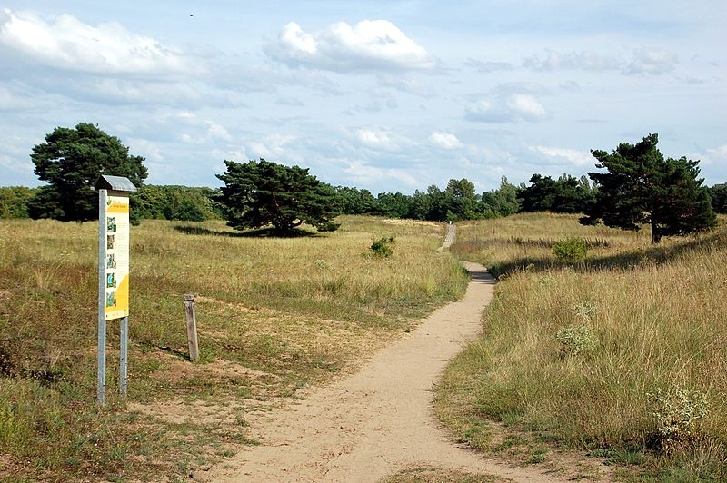 Mainz Sand Dunes