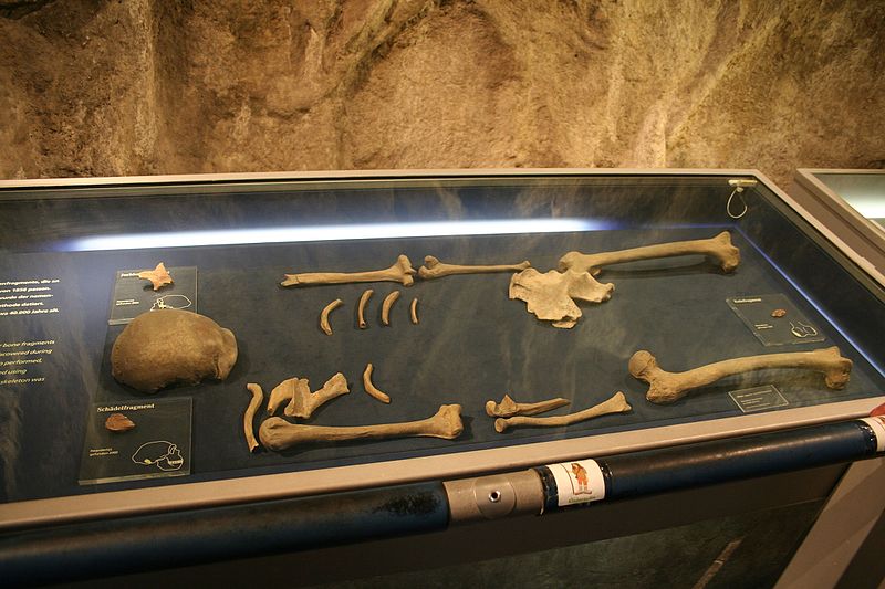 Museo de Neanderthal