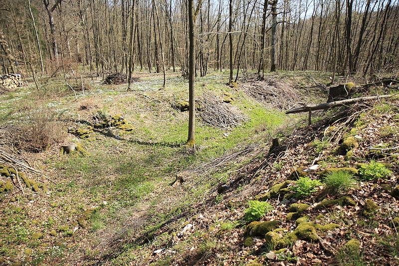 Schlüsselstein Castle