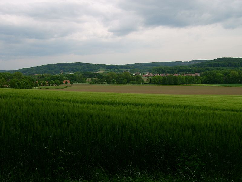 Westerbecker Berg