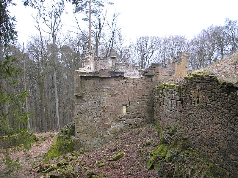 Burg Rauheneck