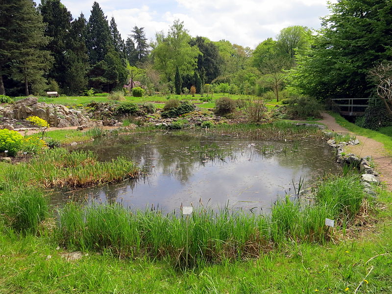 Botanischer Garten Darmstadt