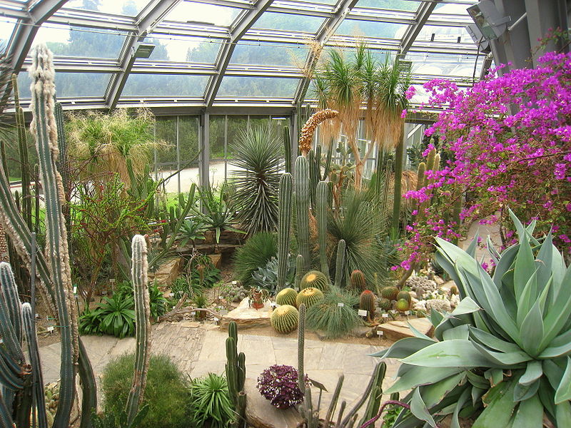 Jardin botanique et musée botanique de Berlin-Dahlem