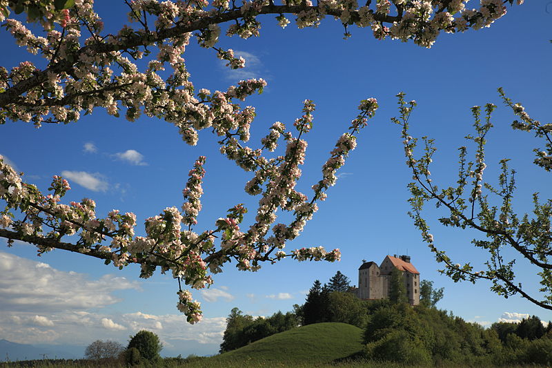 Waldburg Castle