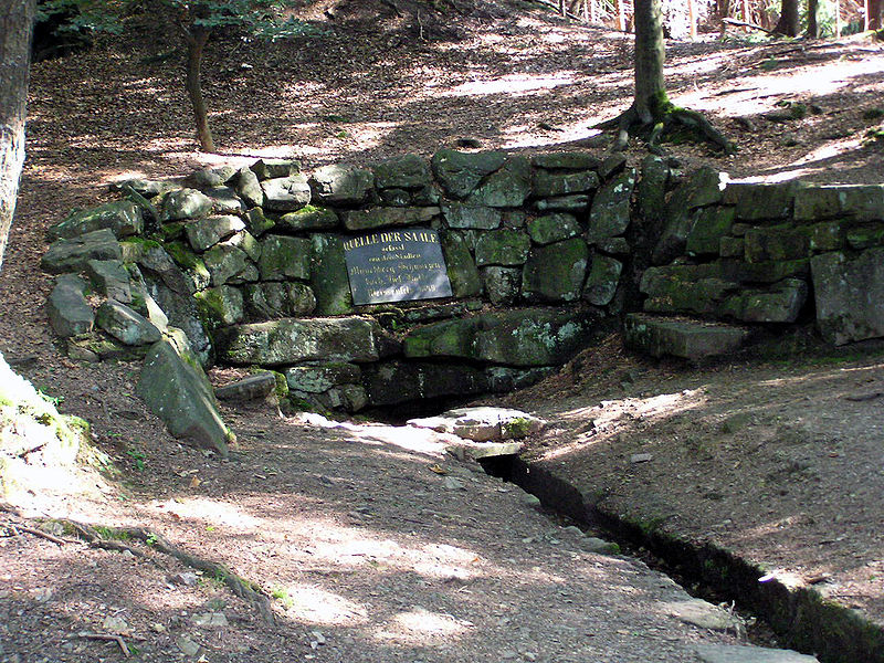 Großer Waldstein