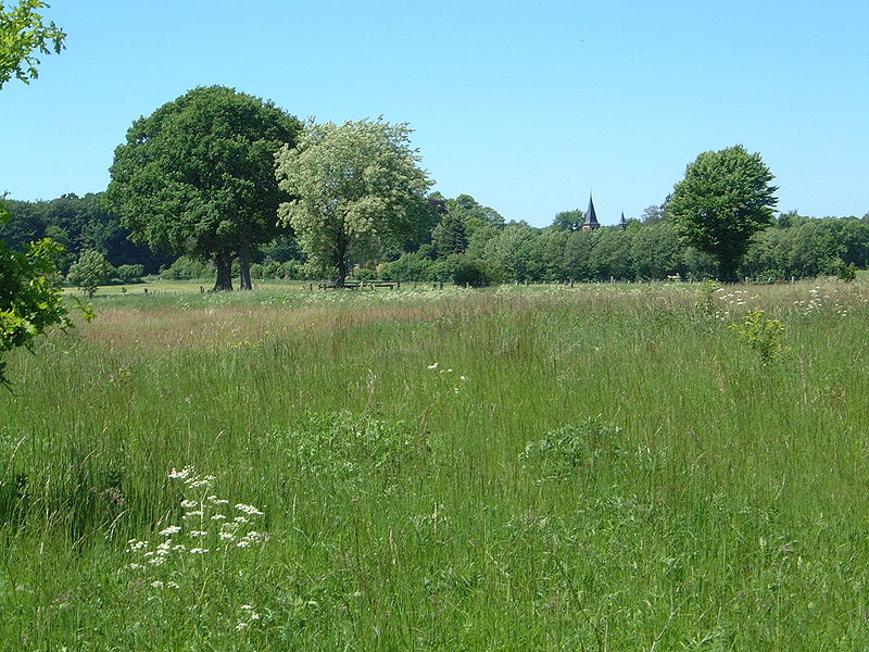 Aukrug Nature Park