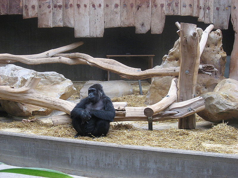 Zoo de Krefeld
