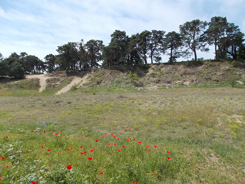 Sandhausener Dünen