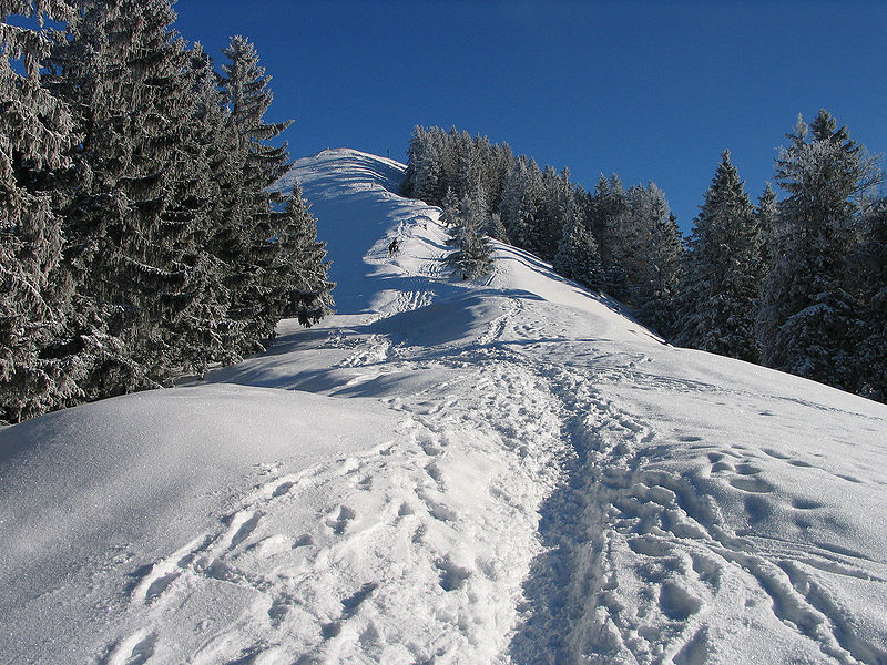 Baumgartenschneid