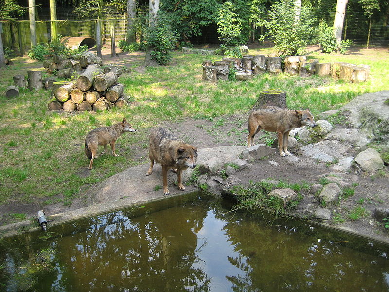Tierpark Neumünster