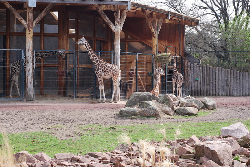 Magdeburg Zoo