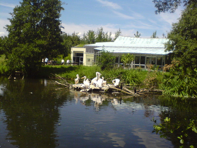 Tiergarten Straubing