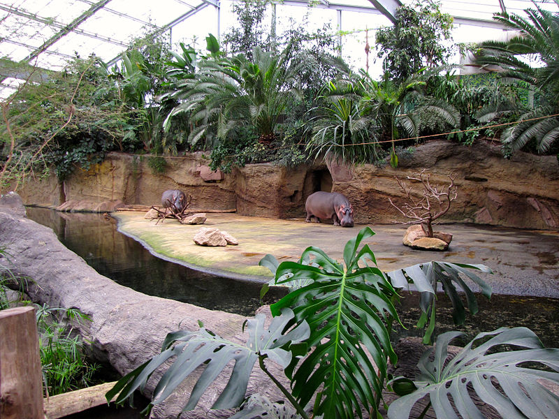 Zoo de Cologne