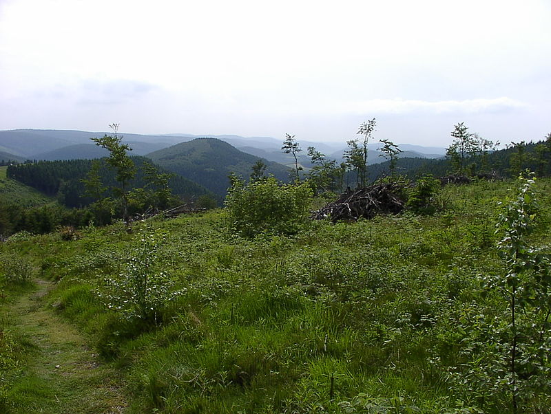 Montañas Rothaar