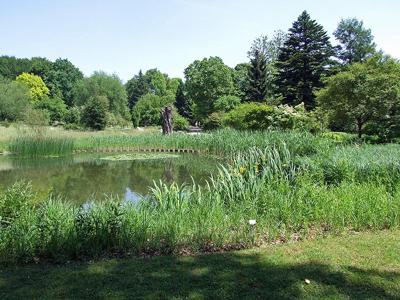 Jardin botanique de l'Université Goethe de Francfort-sur-le-Main