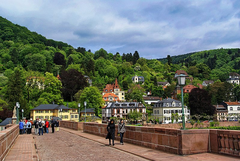 Heidelberger Brückenaffe