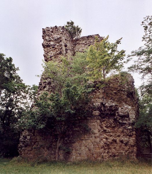 Burg Lauenburg