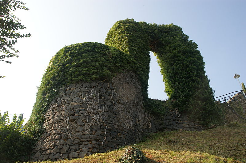 Burg Rolandseck