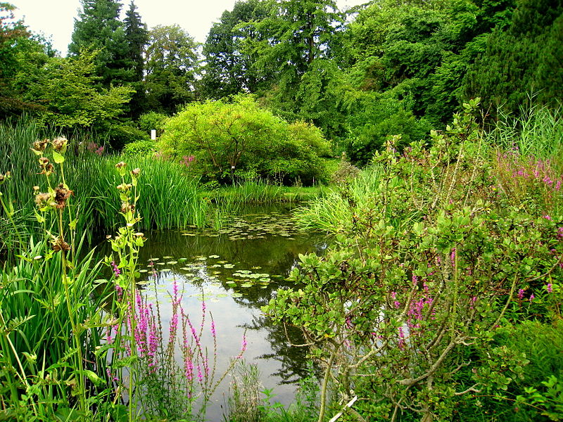 Jardín botánico de la Universidad Técnica de Darmstadt
