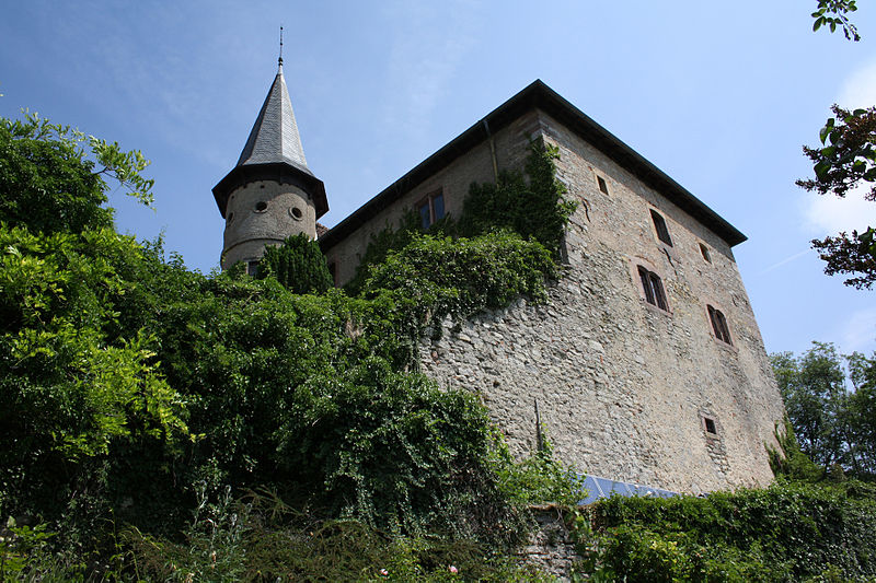 Burg Brandenstein
