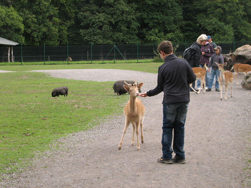 Tierpark Essehof