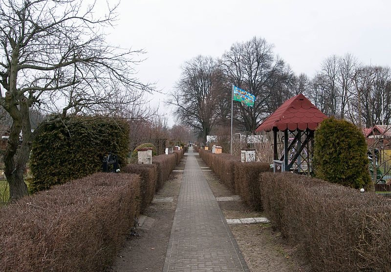 Volkspark Rehberge