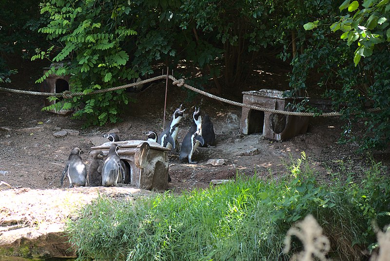 Saarbrücker Zoo