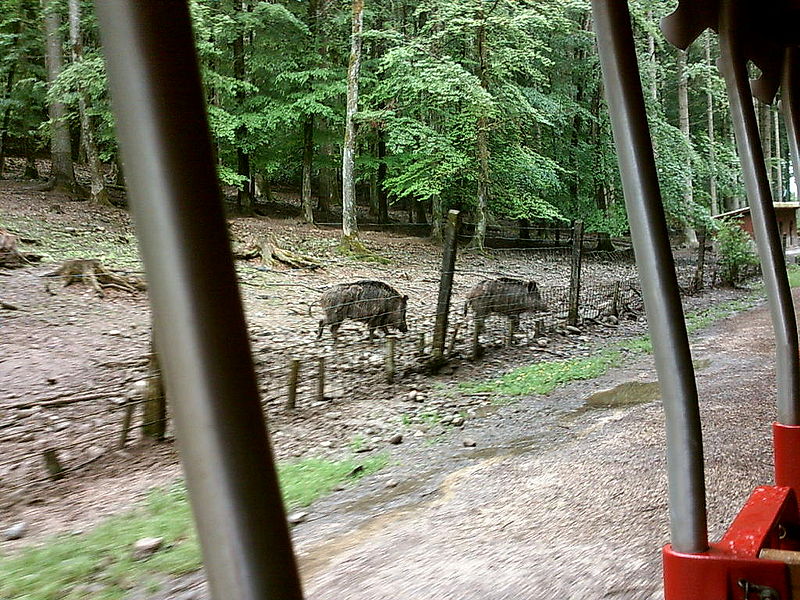 Wild- und Freizeitpark Allensbach