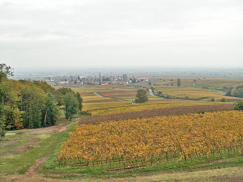 Schloss Villa Ludwigshöhe