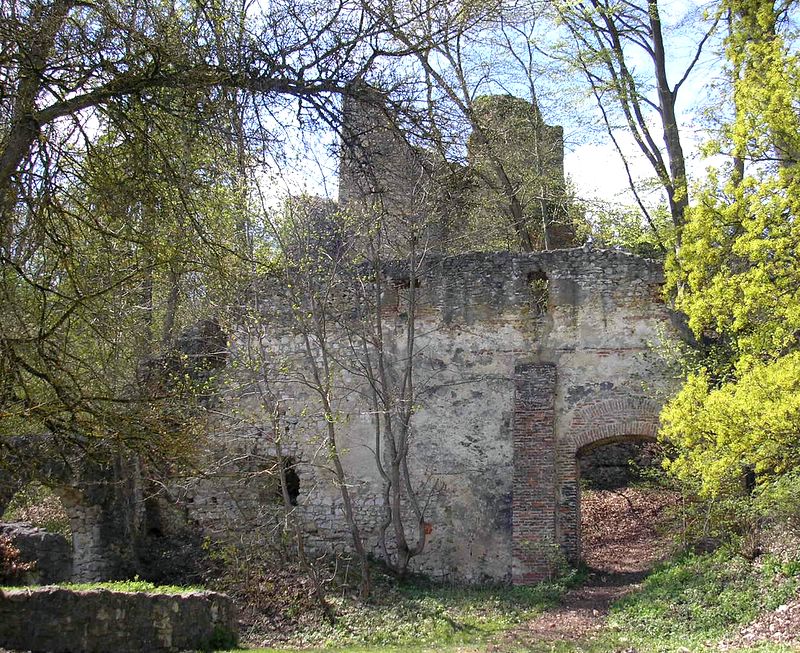 Burg Kaltenburg