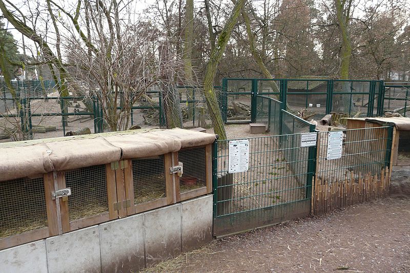Wildpark Mainz-Gonsenheim