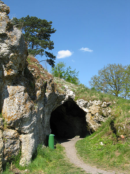 Grotte de Vogelherd