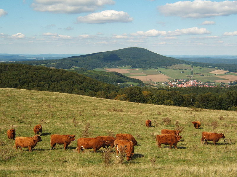 Rhön Mountains