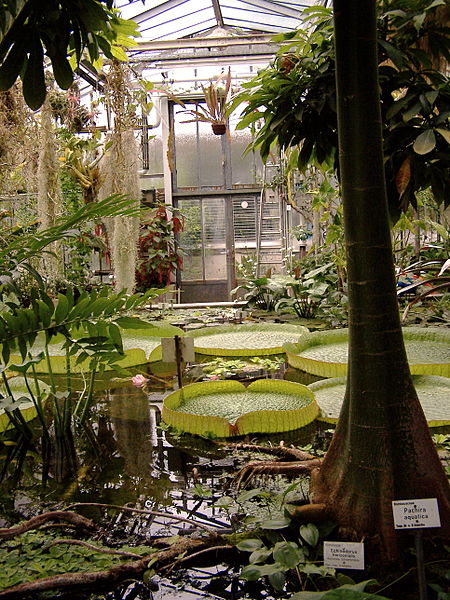 Jardin botanique de l'Université Georg-August de Göttingen