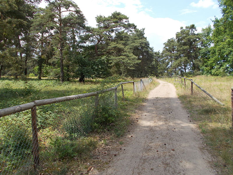 Sandhausener Dünen