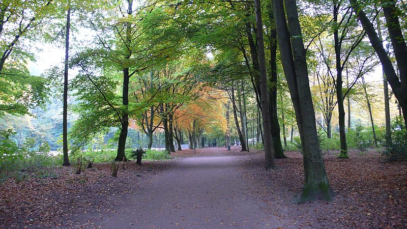Stadtpark Hamburg