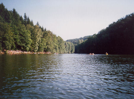 Palatinate Forest