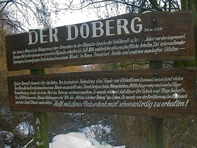 Doberg